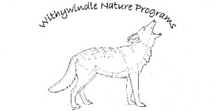 withywindle-np-logo header