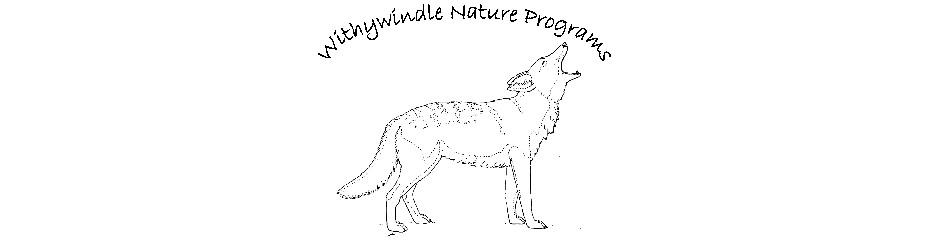 withywindle-np-logo header