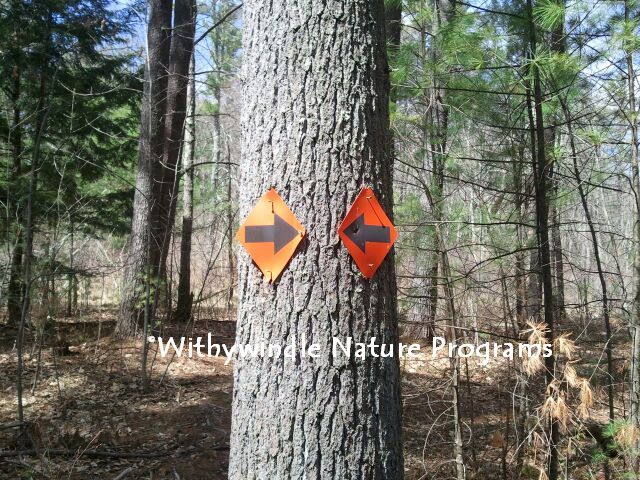 Which Way?