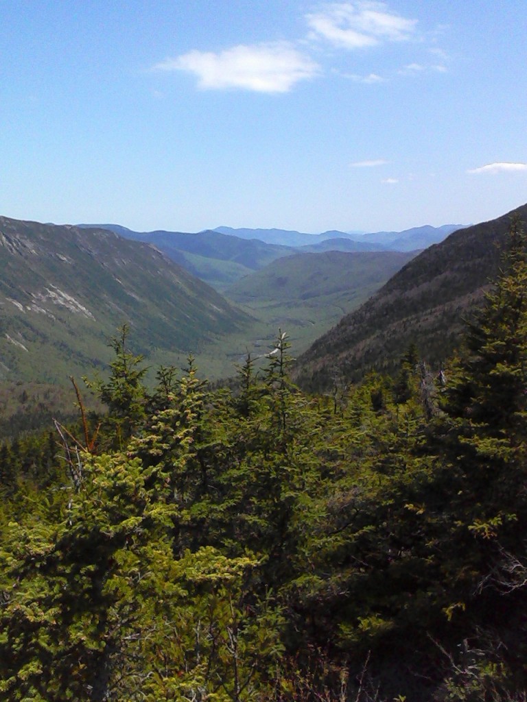 White Mountains 1